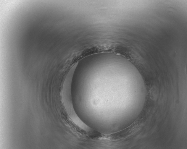 X0000059060961200510212022