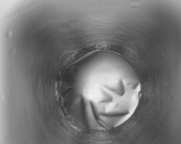 X0000059060962200510212022