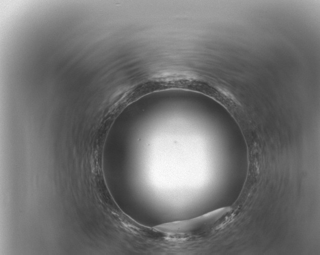 X0000059060965200510212022