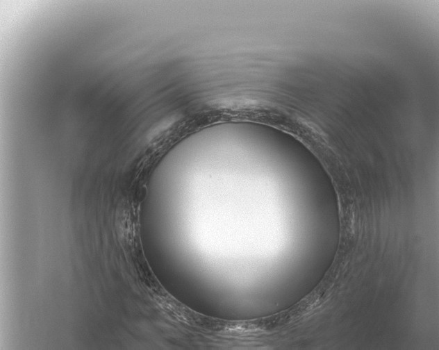 X0000059060966200510212022