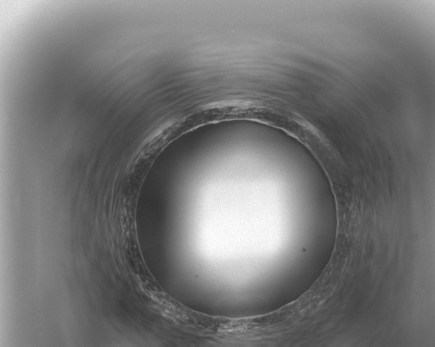 X0000059060967200510212022