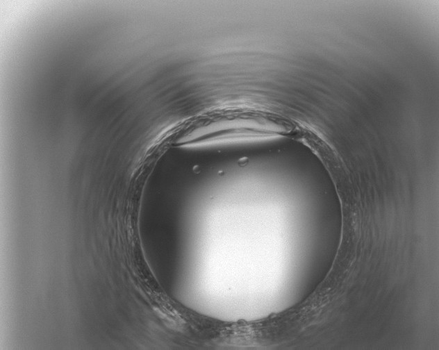 X0000059060968200510212022