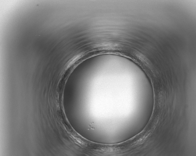 X0000059060970200510212022