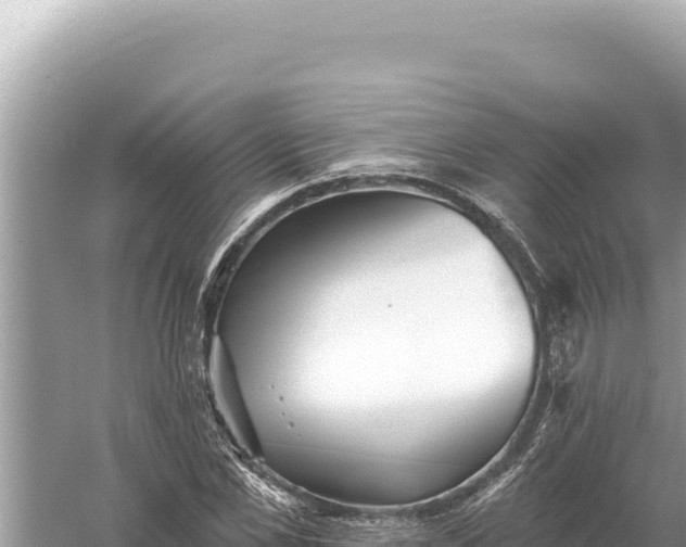 X0000059060973200510212022