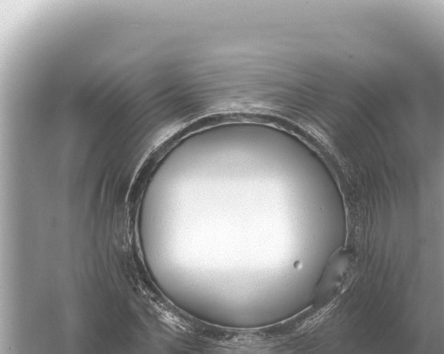 X0000059060974200510212022