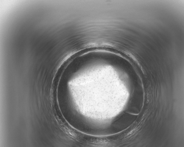 X0000059060975200510212022