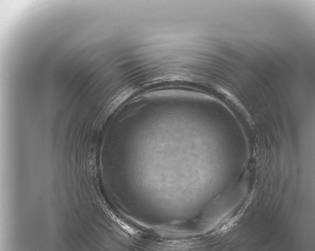 X0000059060977200510212022