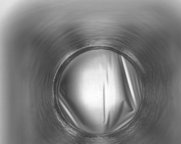 X0000059060980200510212022