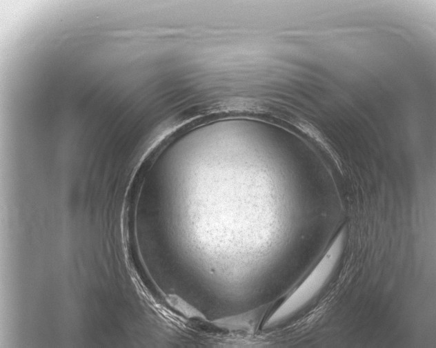 X0000059060983200510212022