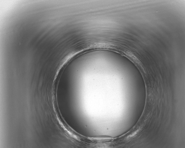 X0000059060989200510212022