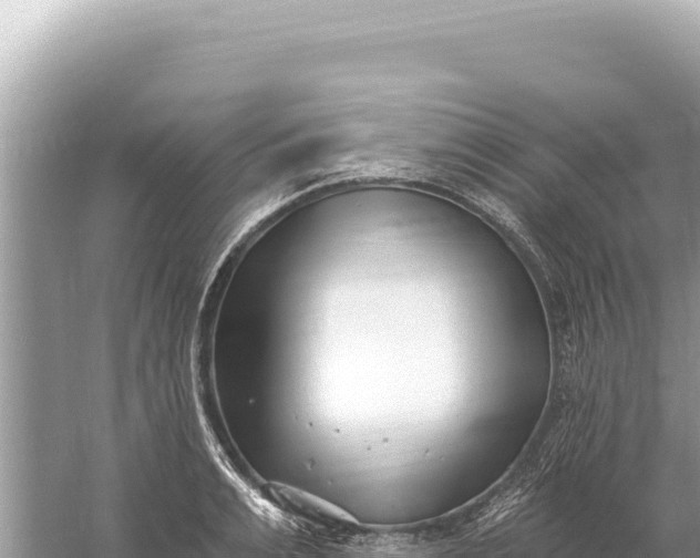 X0000059060991200510212022