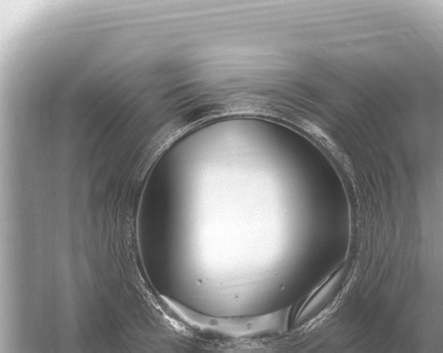 X0000059060993200510212022