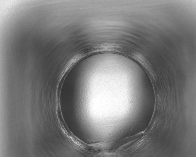 X0000059060994200510212022