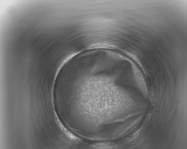 X0000059060995200510212022