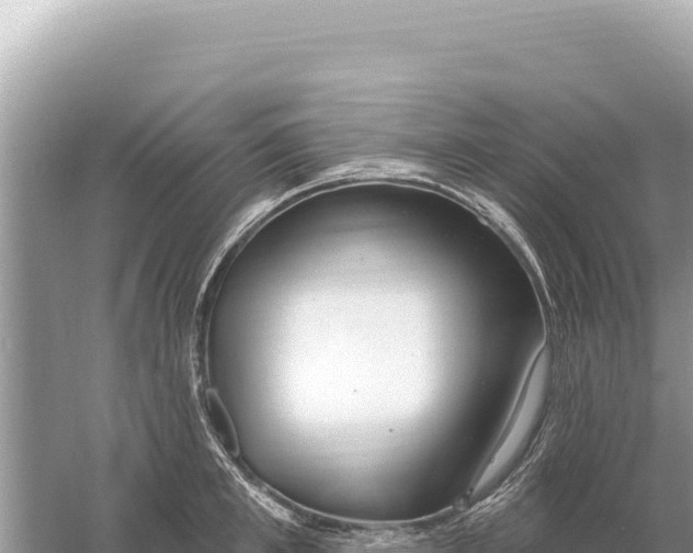 X0000059060997200510212022