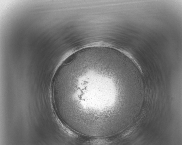 X0000059060998200510212021