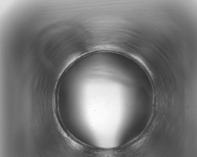 X0000059060999200510212021