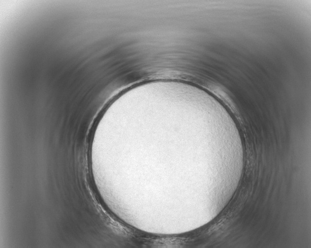 X0000059061000200510212021