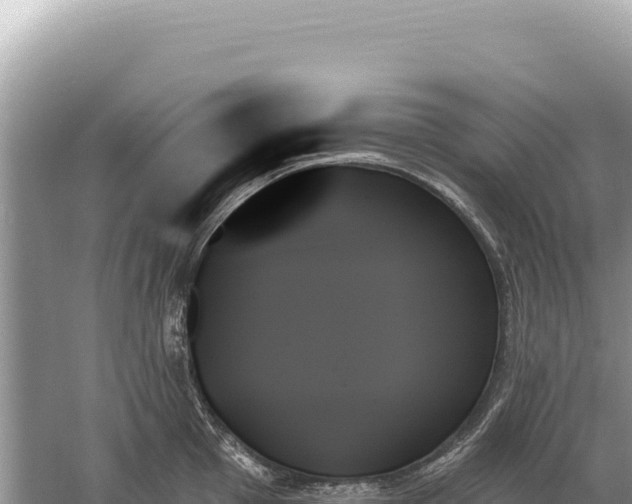 X0000059061001200510212021