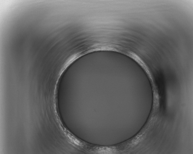 X0000059061002200510212021