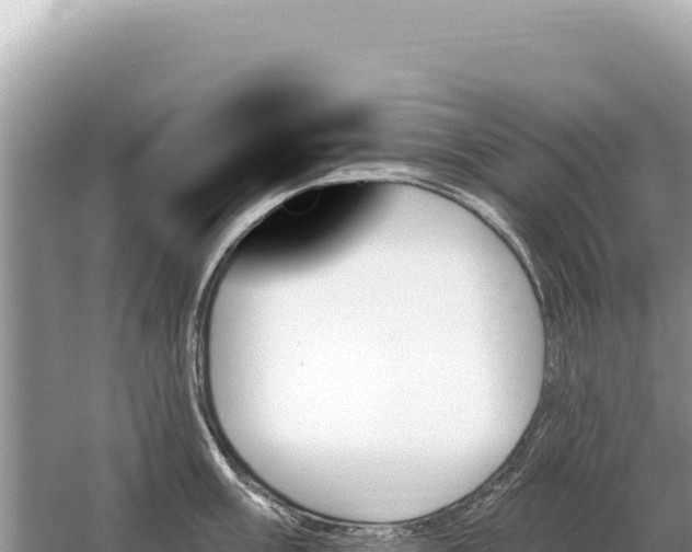 X0000059061003200510212021