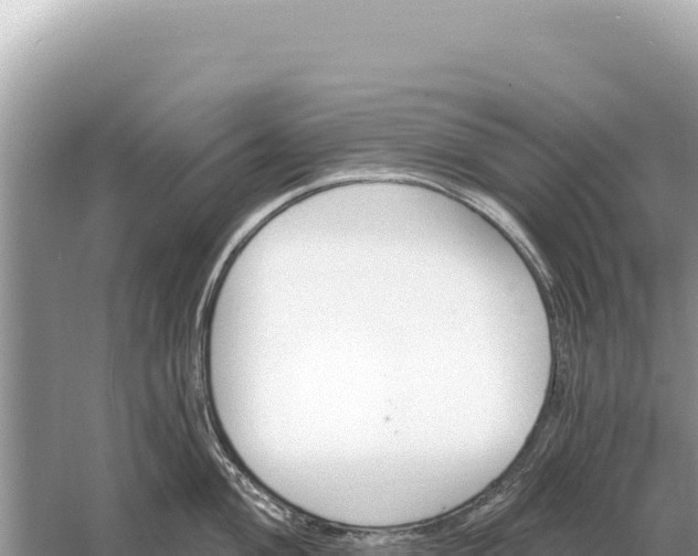 X0000059061004200510212021