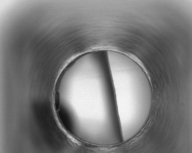 X0000059061005200510212021