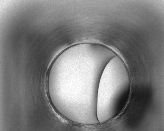 X0000059061006200510212021