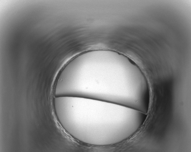 X0000059061008200510212021