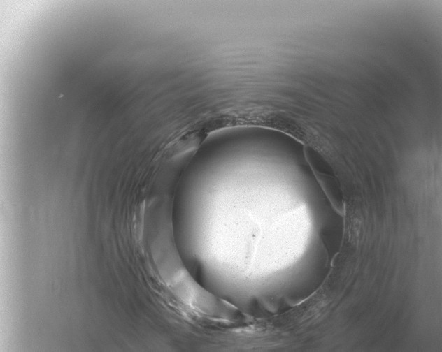 X0000059061010200510212021