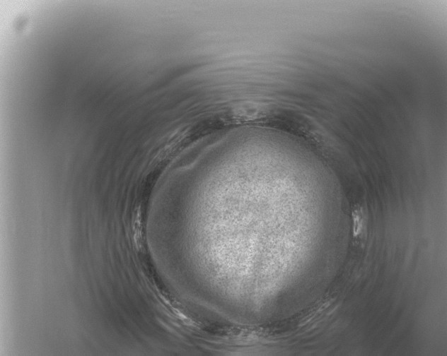 X0000059061011200510212021