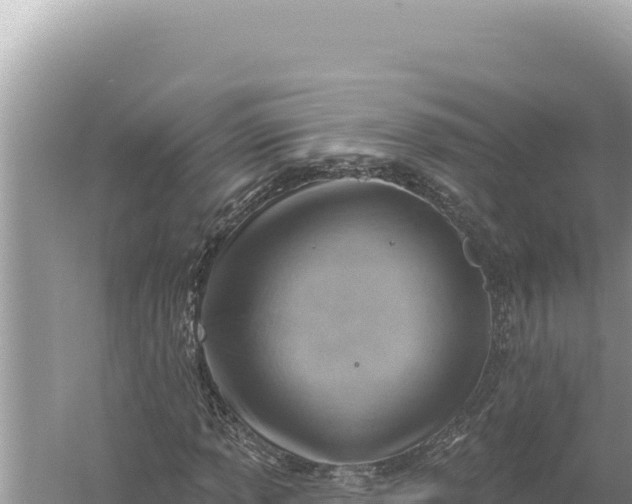 X0000059061013200510212021