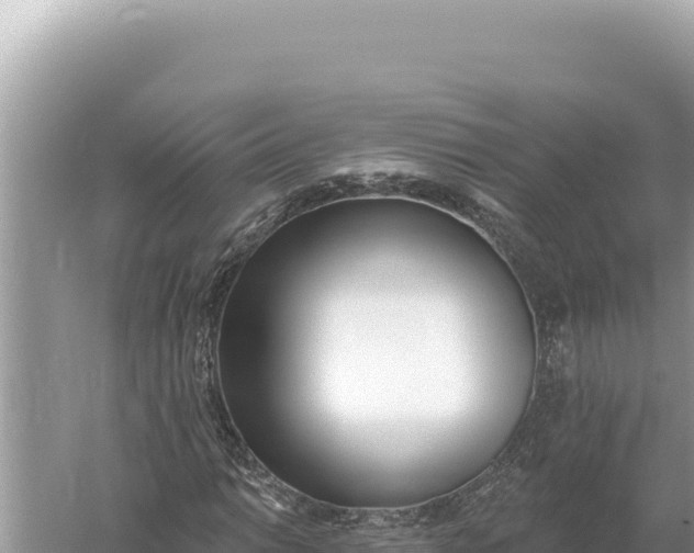 X0000059061014200510212021