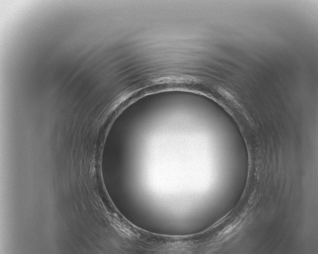 X0000059061017200510212021