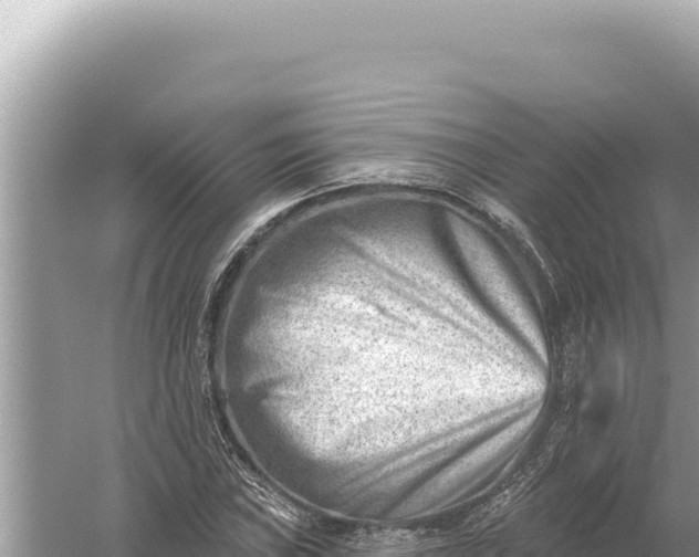 X0000059061019200510212021