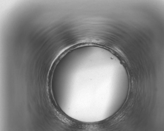 X0000059061020200510212021