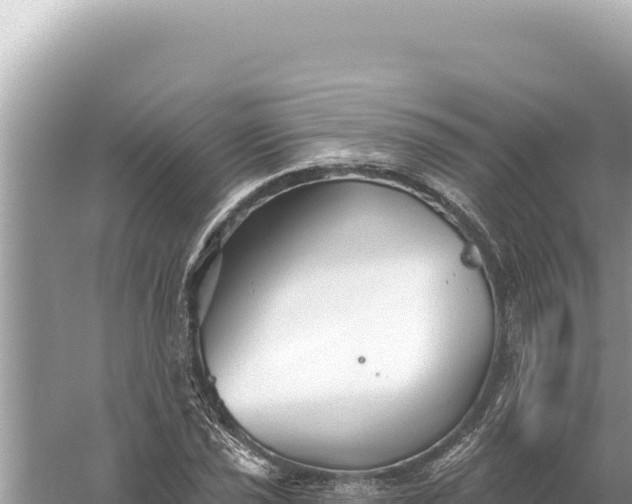 X0000059061021200510212021