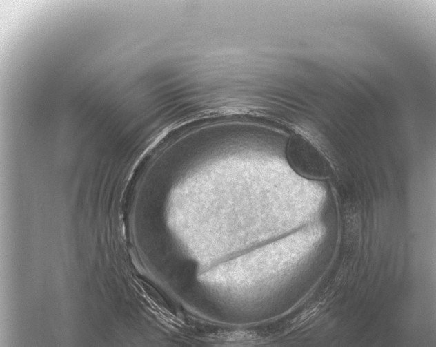 X0000059061023200510212021