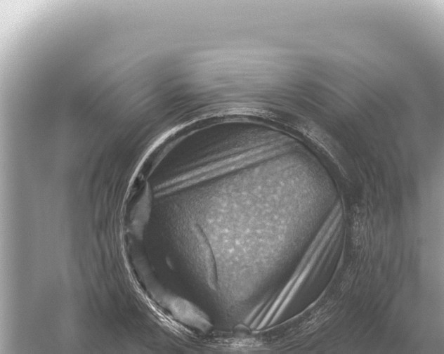 X0000059061024200510212021