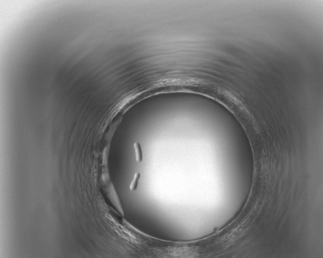 X0000059061025200510212021