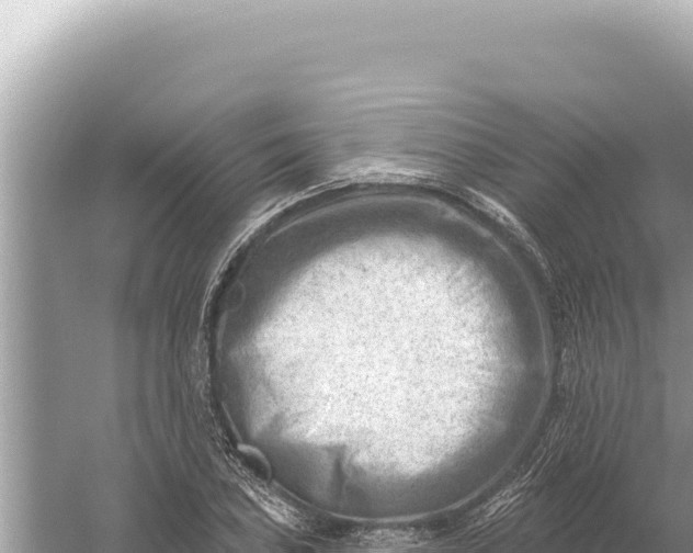 X0000059061027200510212021