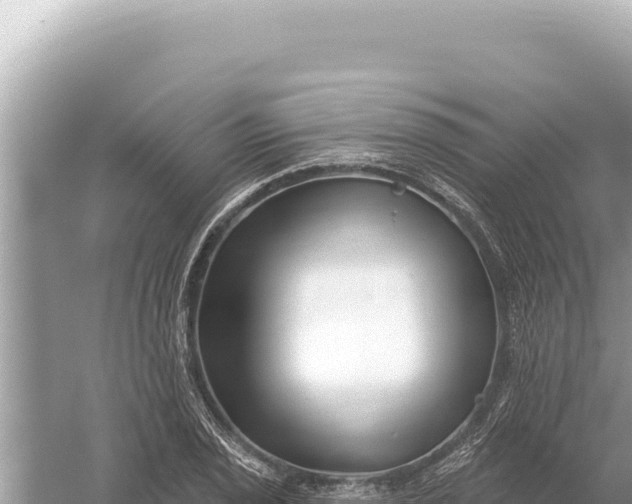 X0000059061029200510212021