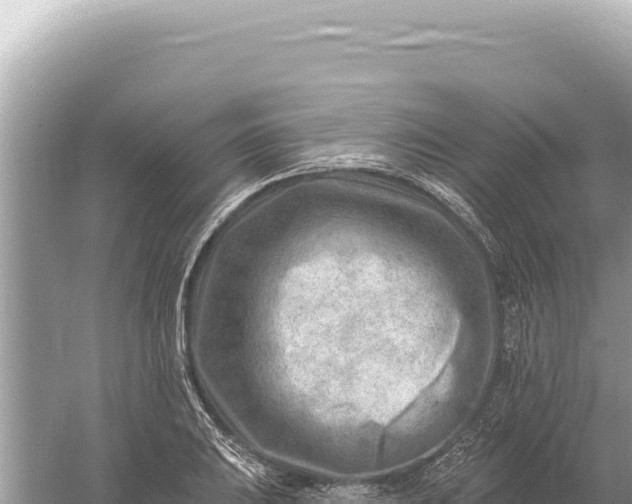 X0000059061031200510212021