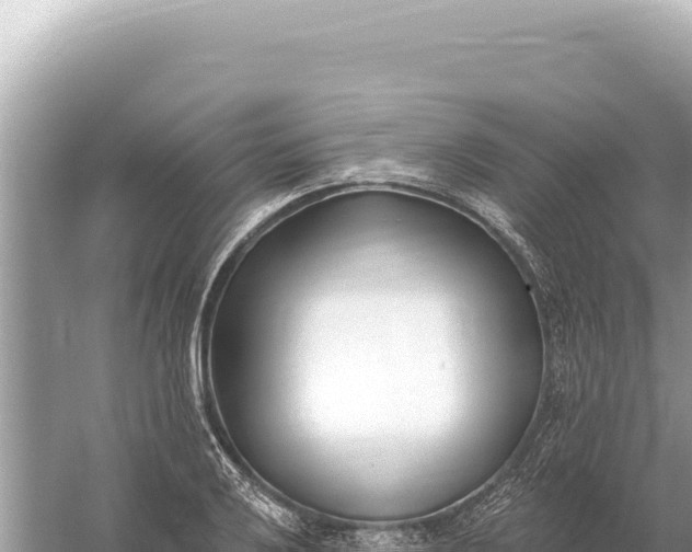 X0000059061032200510212021