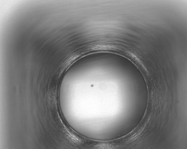 X0000059061033200510212021