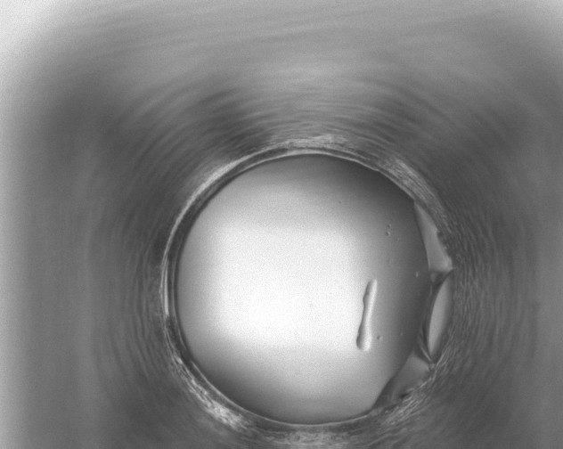 X0000059061036200510212021