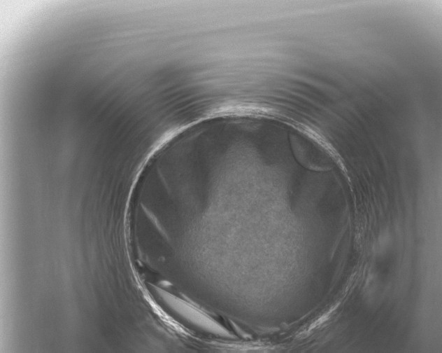 X0000059061037200510212021