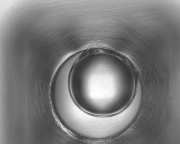 X0000059061038200510212021