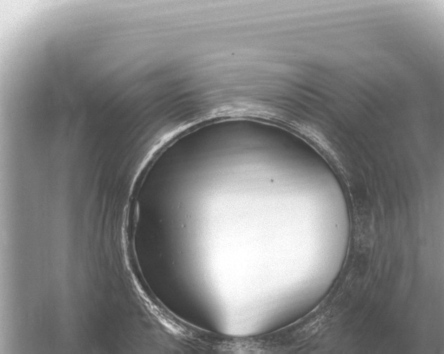 X0000059061040200510212021