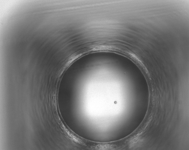 X0000059061041200510212021